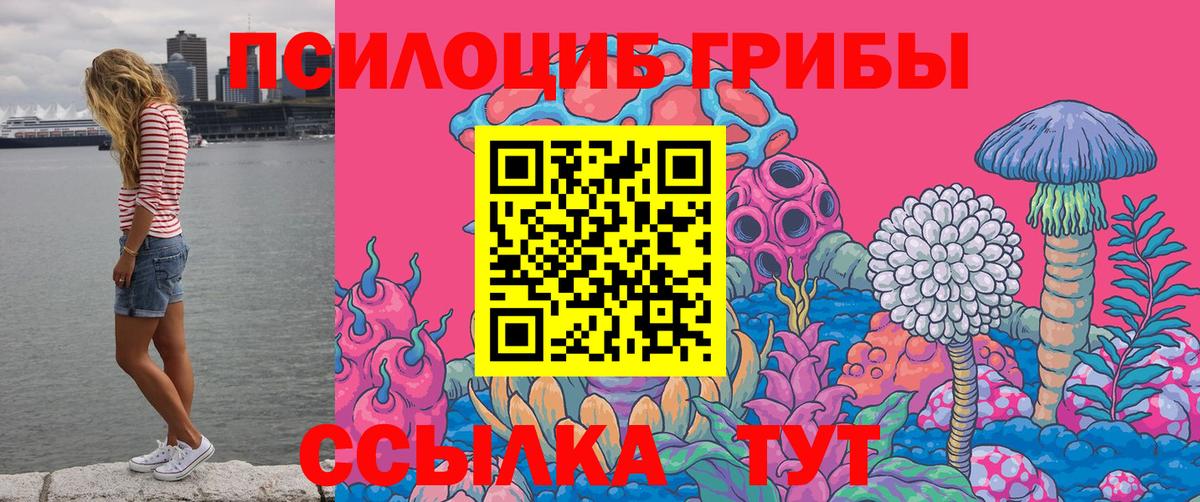 Орск  Галлюциногенные грибы Psilocybine cubensis  где можно купить   Вход с VPN  Псилоцибиновые грибы Cubensis 